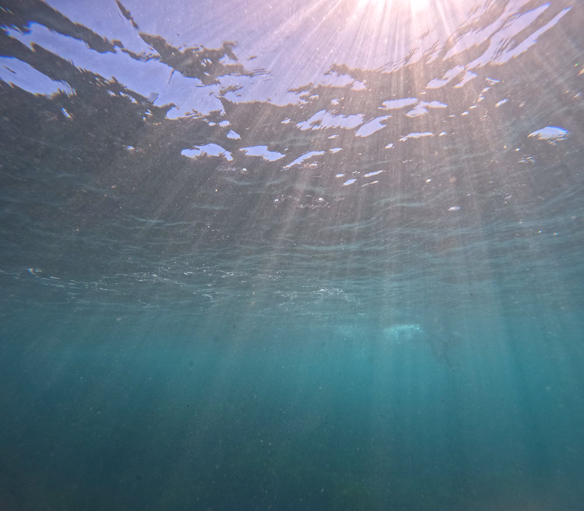 Beneath the Surface: A Journey Through Diving Adventures